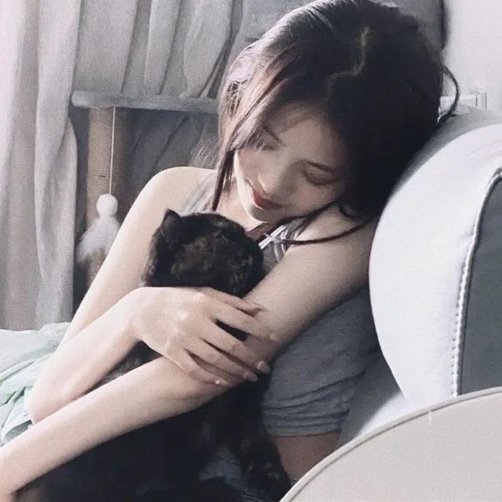 毒蛇岛 在线观看